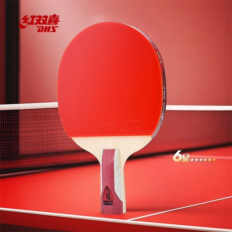 DHS 卓球ラケット ハリケーン 3 + ティン アーク 3 - Table Tennis Champion のレビューと価格